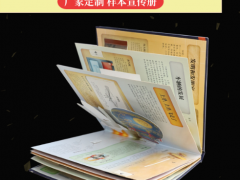 西安折页设计印刷 画册印刷 企业宣传册设计公司